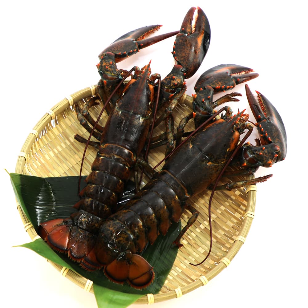 ブロンズ 海老 ロブスター 紙鎮 置物 在銘 約476g M R8551