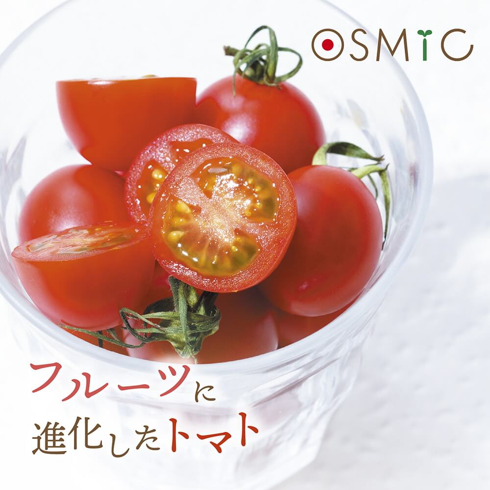 5個まで送料一律！】高糖度トマト OSMICトマト mini PREMIUM 500g(化粧 