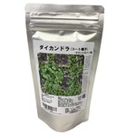 福花園種苗　ダイカンドラ種子(コート種子)　100mL