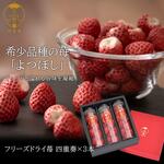 新品⚫︎未使用】 うさまる アートデリ いちご 福岡限定