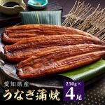 うなぎ 愛知県産うなぎ蒲焼 約120g×4尾入 タレ・山椒付｜うさマート