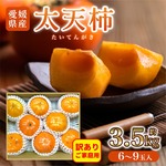 【11月中旬出荷】【訳あり・ご家庭用】愛媛県産太天柿　約3.5kg　6～9玉