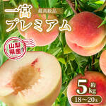 お値打ち品】桃 山梨県産 約2.4kg 品種色々 2箱セット 10玉～14