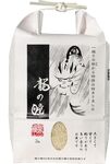 岐阜県産龍の瞳10kg(５kg×２袋) 楽天市場】龍の瞳 10kgの通販