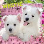 BrownTrout(ブラウントラウト)　2025年 カレンダー　子犬のウェスティ(West Highland White Terrier Puppies Calendar)　30.5×61cm　ZB-80738