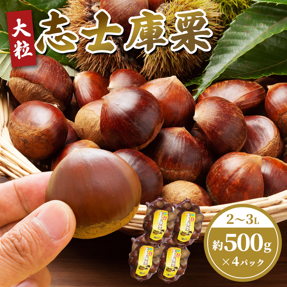 9月10日頃出荷開始】大粒！！ 志士庫栗 2～3L 約500g×4P｜うさマート