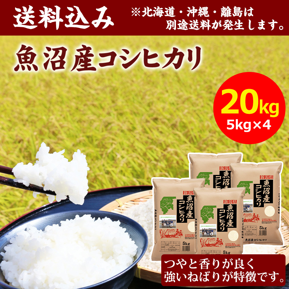 令和6年産】田中米穀 魚沼産コシヒカリ 20kg(5kg×4袋)｜宇佐美鉱油の総合通販サイトうさマート