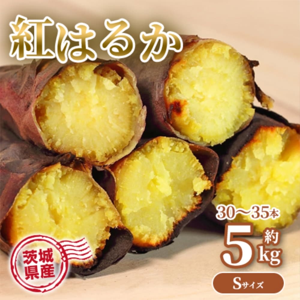 さつまいも 5kg 紅はるか 茨城県産 30～35本前後 Sサイズ 甘い DX