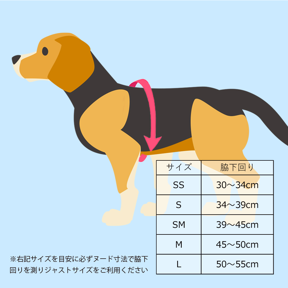 LAMZY ソフトフェザーハーネス Sサイズ - 犬用品