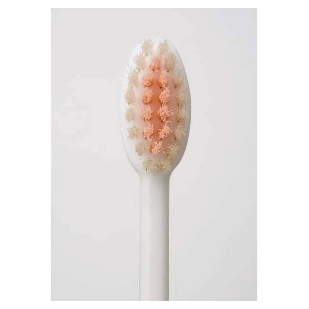 エビス リグ ハブラシ ふつう （4901221006702） ×360点セット | エビス リグEXハブラシ・超先細毛 ふつう 6本パック | エビス