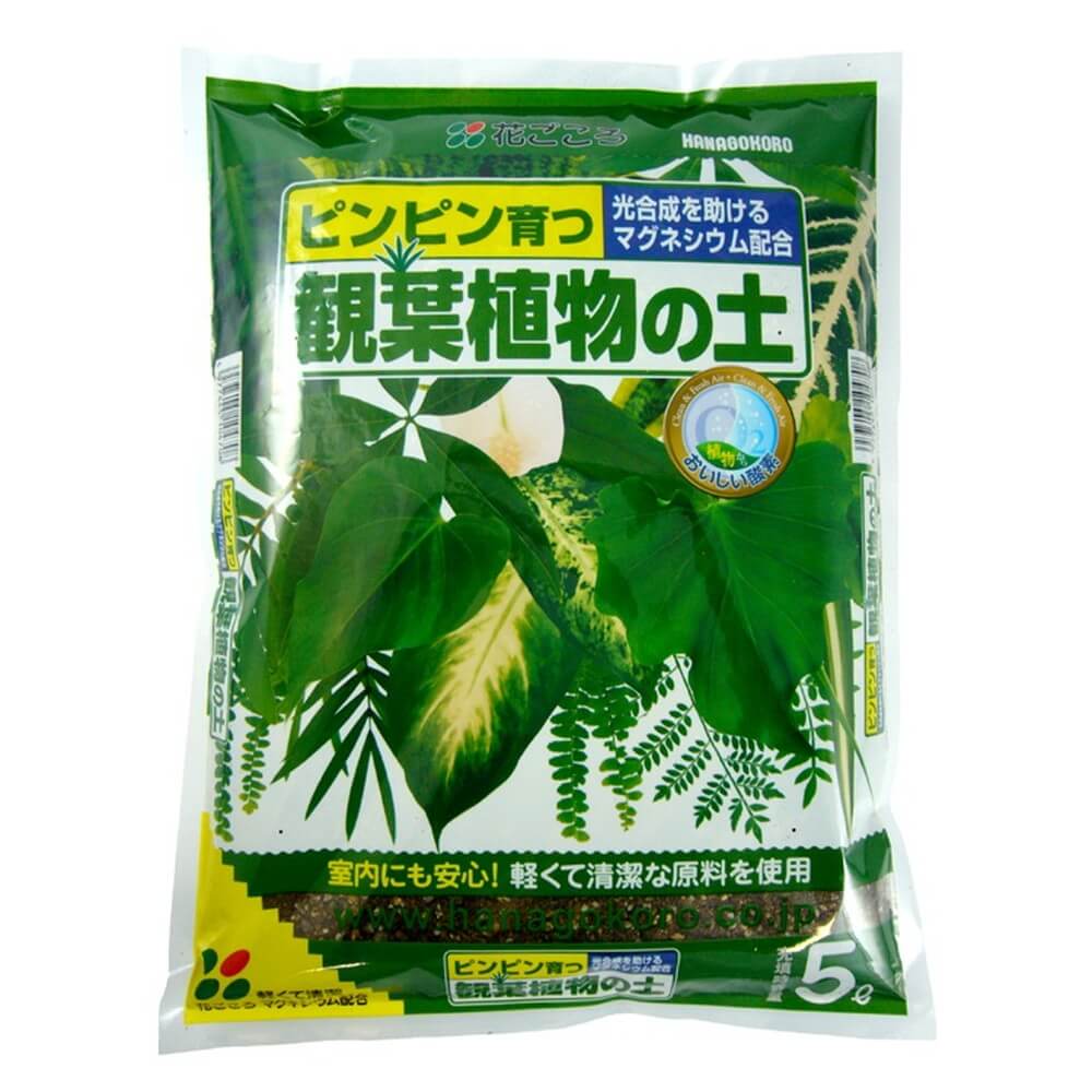 花ごころ 観葉植物の土 5l 9740 宇佐美鉱油の総合通販サイトうさマート
