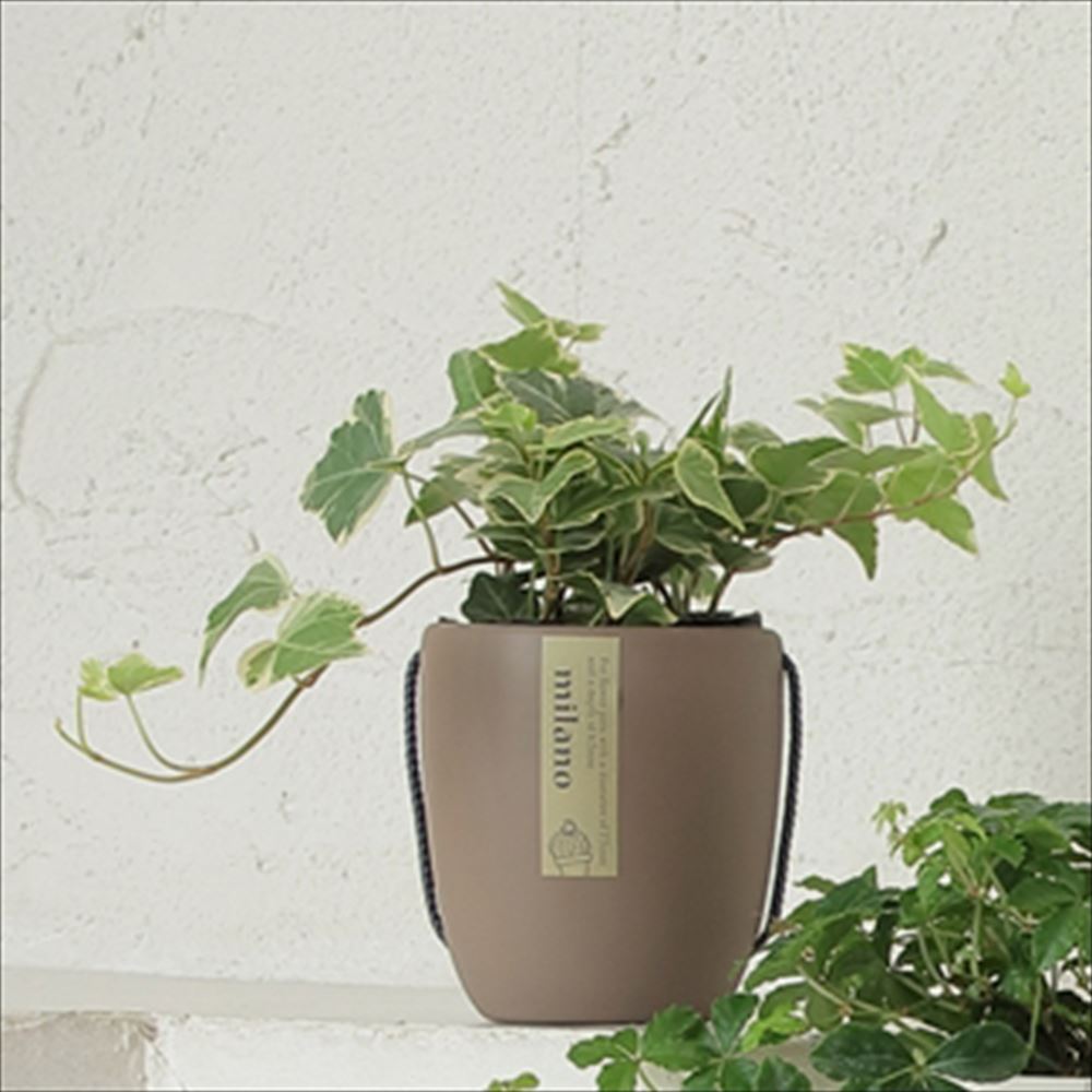 いいスタイル アップルウェアー トッピングPOT 2.5寸用オリーブグリーン オリーブグリーン 2.5寸用