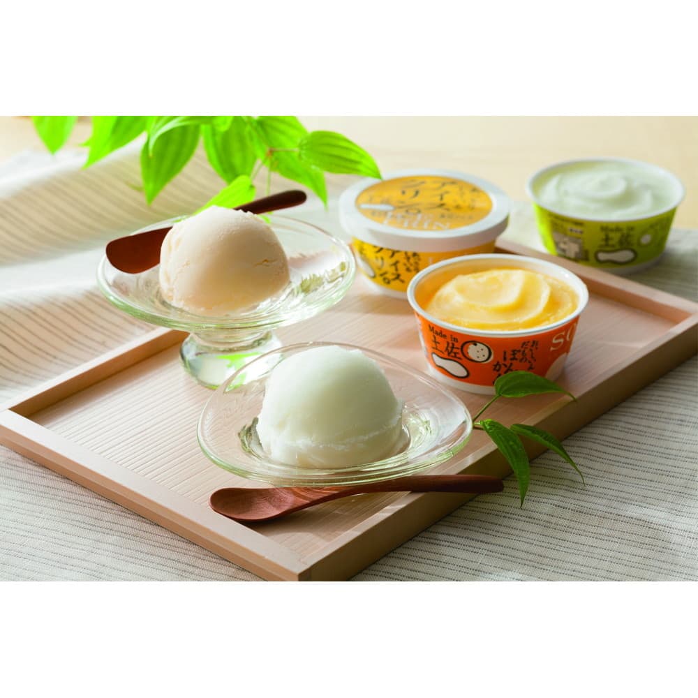 高知 南の国の高知アイス 高知アイスセット 7種10個入｜うさマート