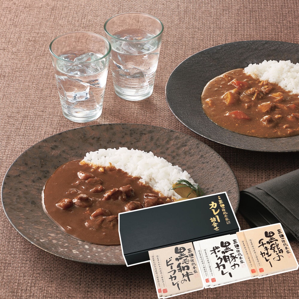 三田屋総本家 カレー詰め合わせギフト 3種6食入｜うさマートジャパン 