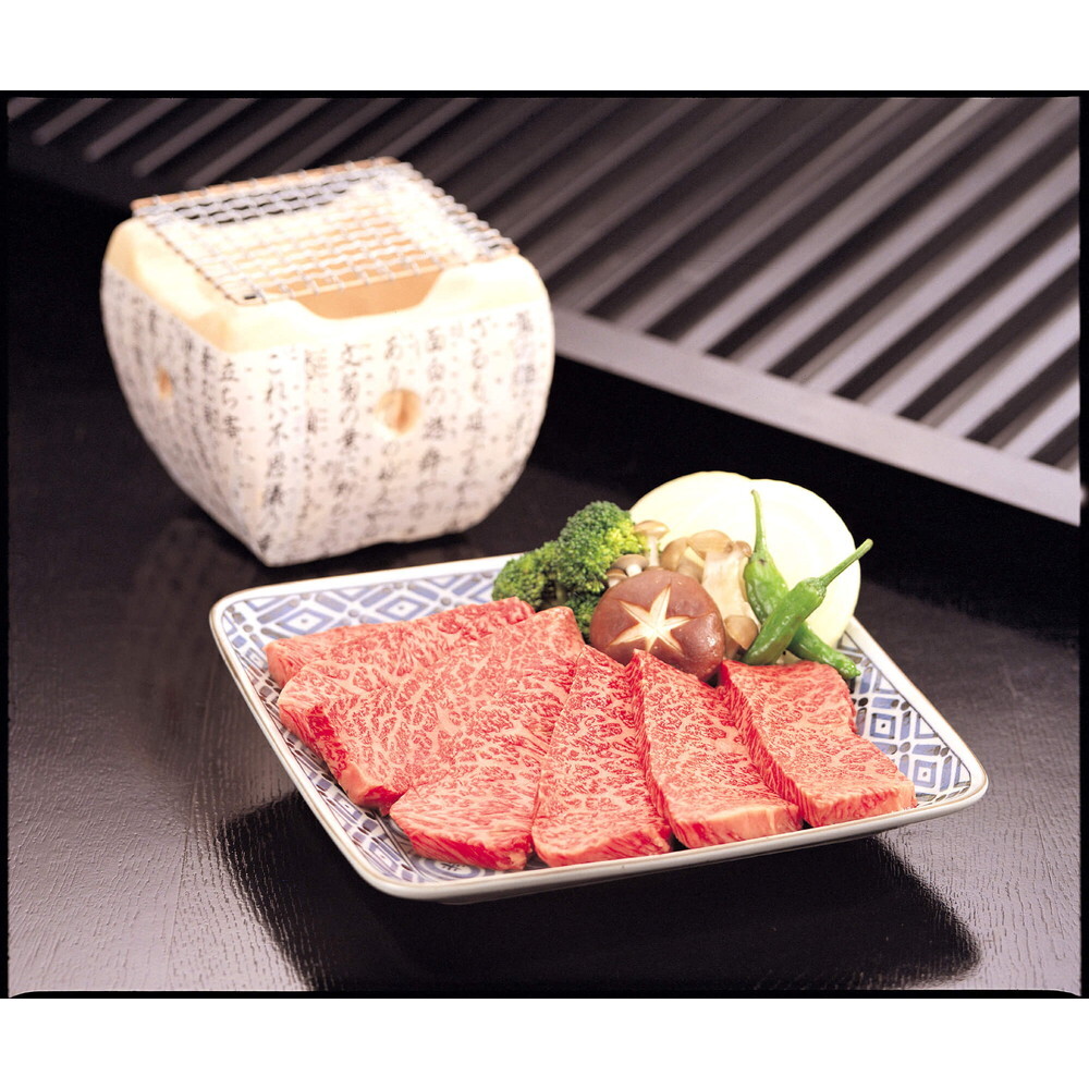 飛騨牛 焼肉用 かたロース肉 400g 化粧箱入｜宇佐美鉱油のギフトサイト