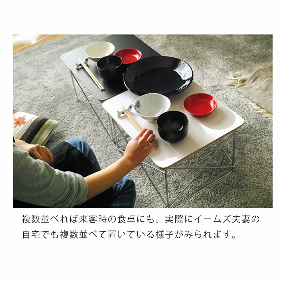 ウィルリミテッド チャールズ＆レイ・イームズ ワイヤーベース