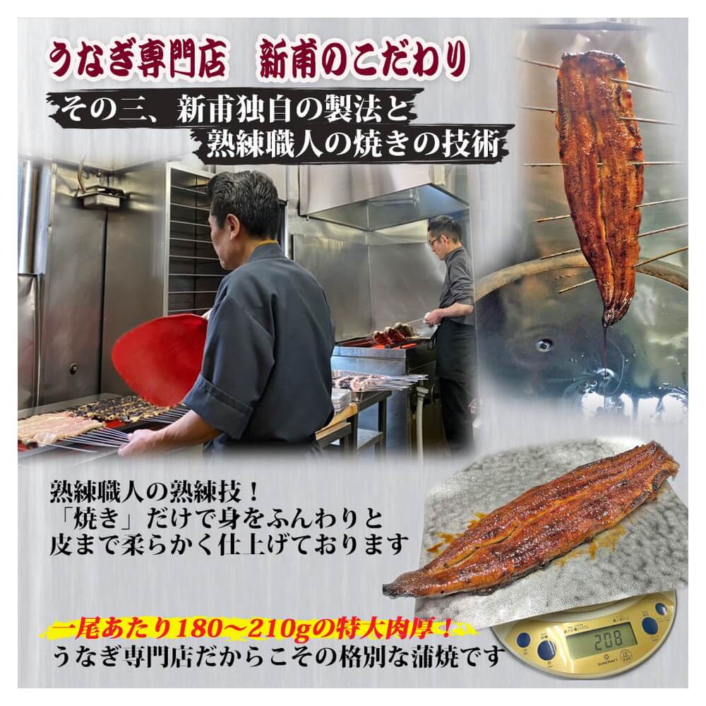 うなぎ専門店 うなぎの新甫 ご自宅使い用うな丼4人前セット 伝承