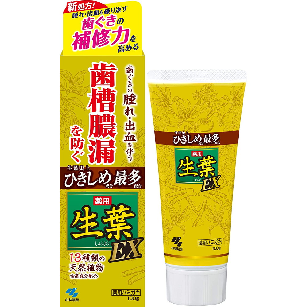 小林製薬 生葉EX 100g｜宇佐美鉱油の総合通販サイトうさマート