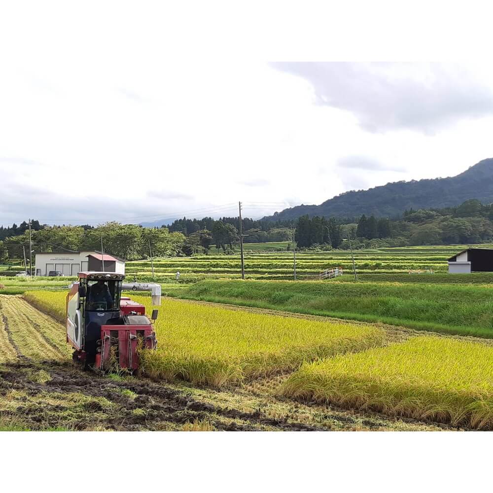 新潟県産 あきたこまち 5kg｜宇佐美鉱油の総合通販サイトうさマート