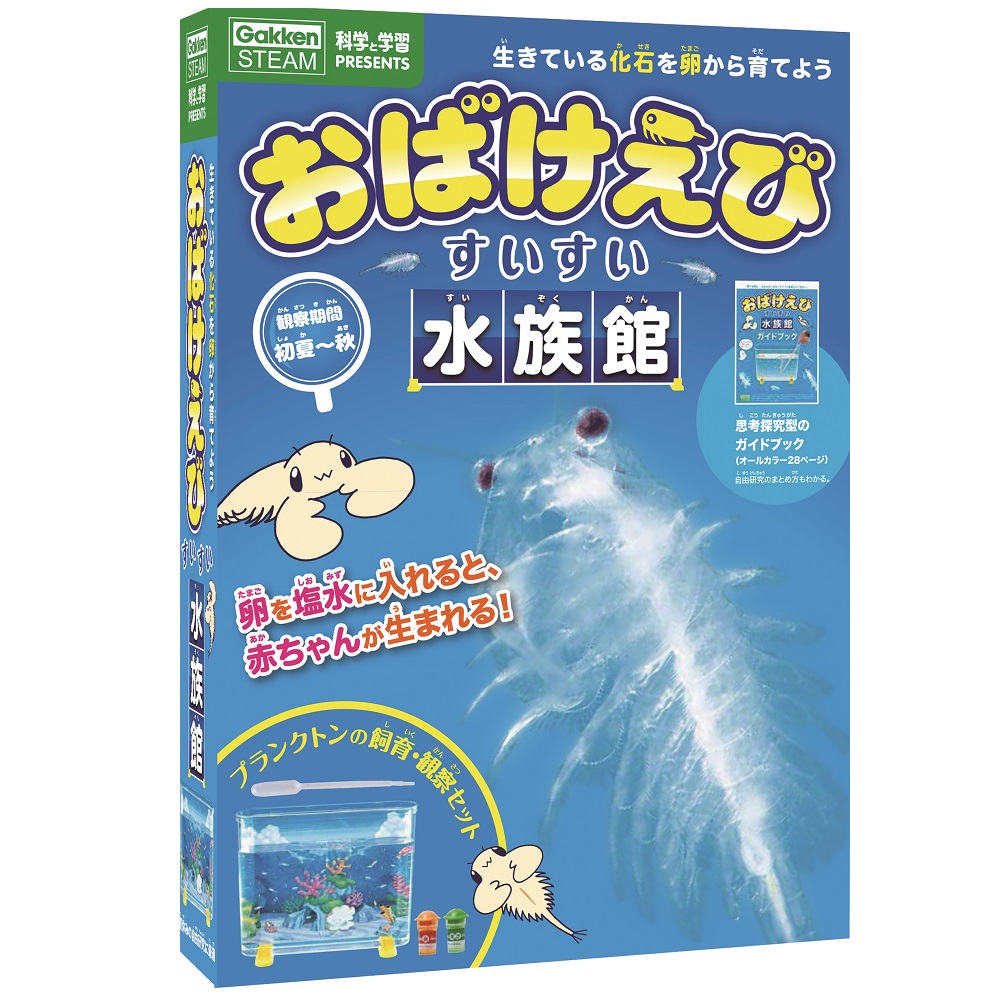 最高の品質の オバケエビ！プリズム110 ファッション雑貨 - www