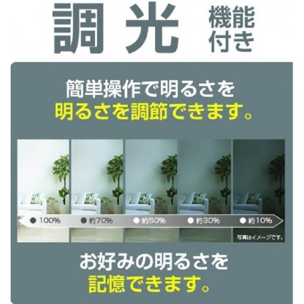 瀧住電機工業 LEDシーリングライト 調光タイプ 12畳/昼光色/リモコン