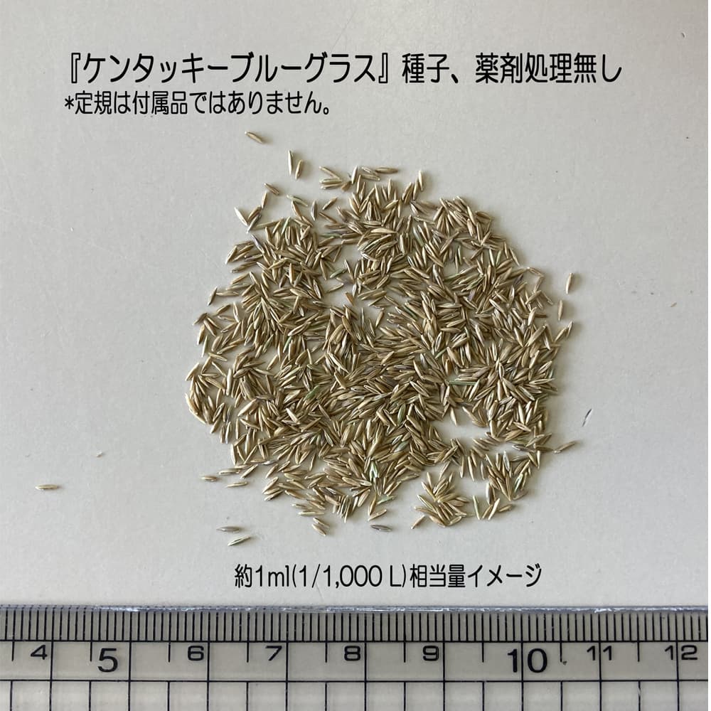 福花園種苗 西洋芝種子 ケンタッキーブルーグラス 1L｜宇佐美鉱油の