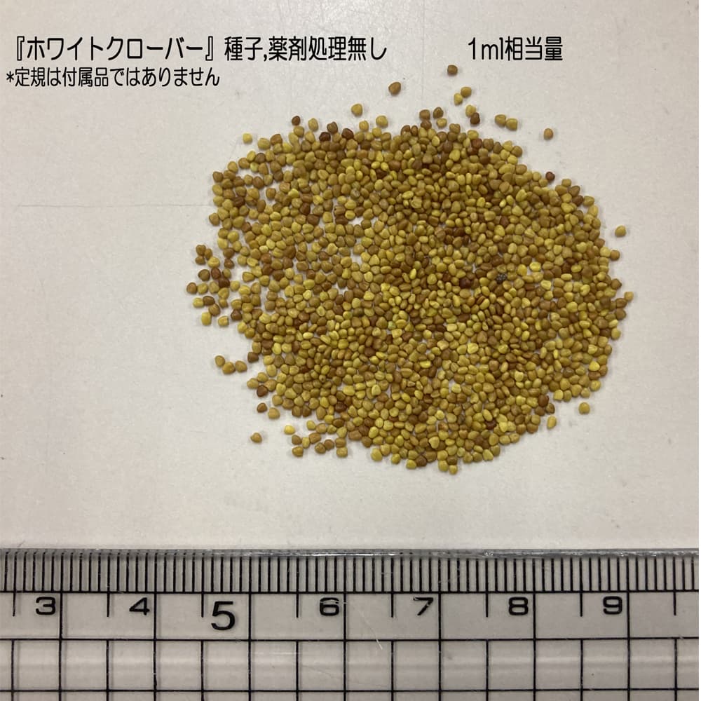福花園種苗 ホワイトクローバーお徳用種子 1L｜うさマート