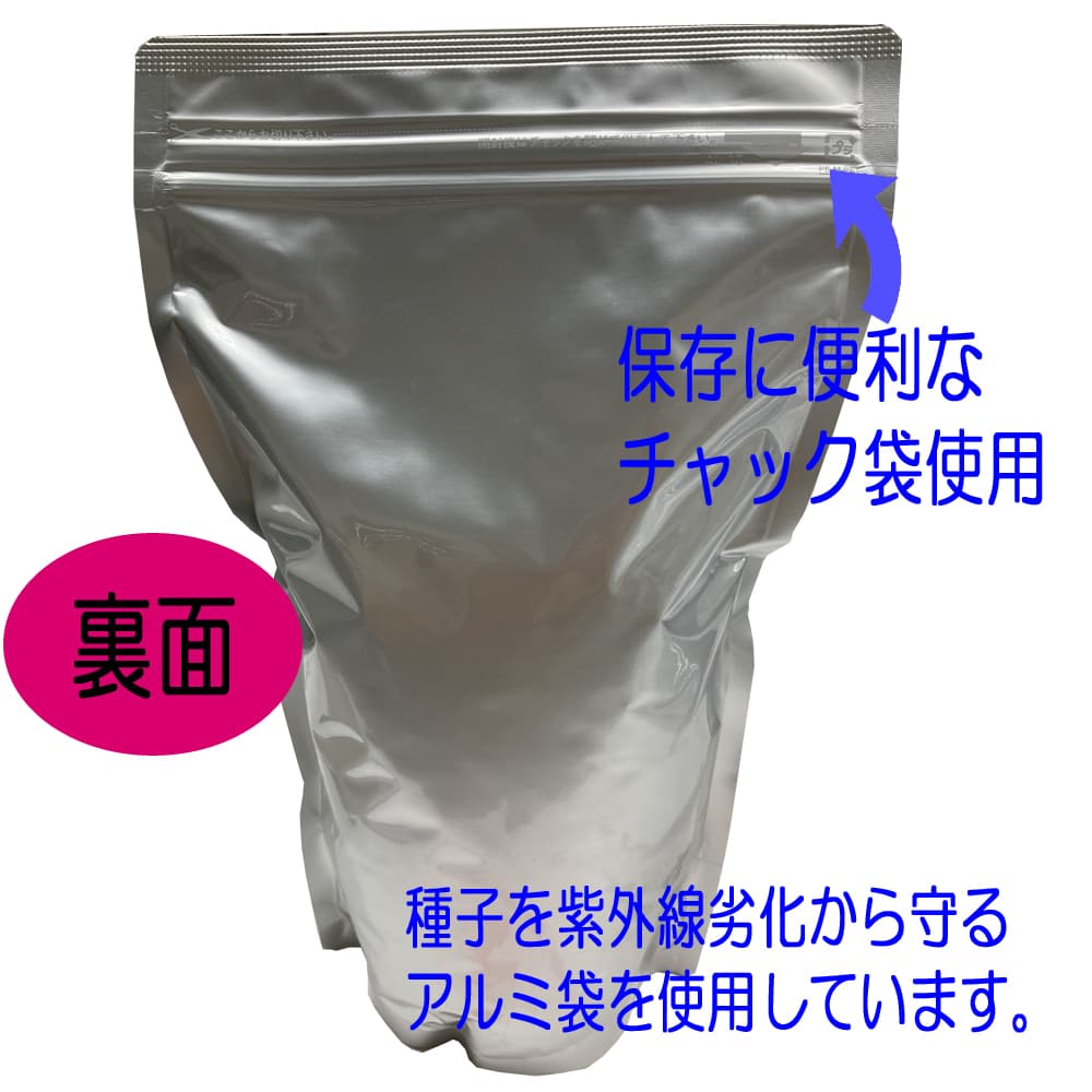 福花園種苗 ネモフィラ種子(景観用インシグニス ブルー) 100ml｜宇佐美