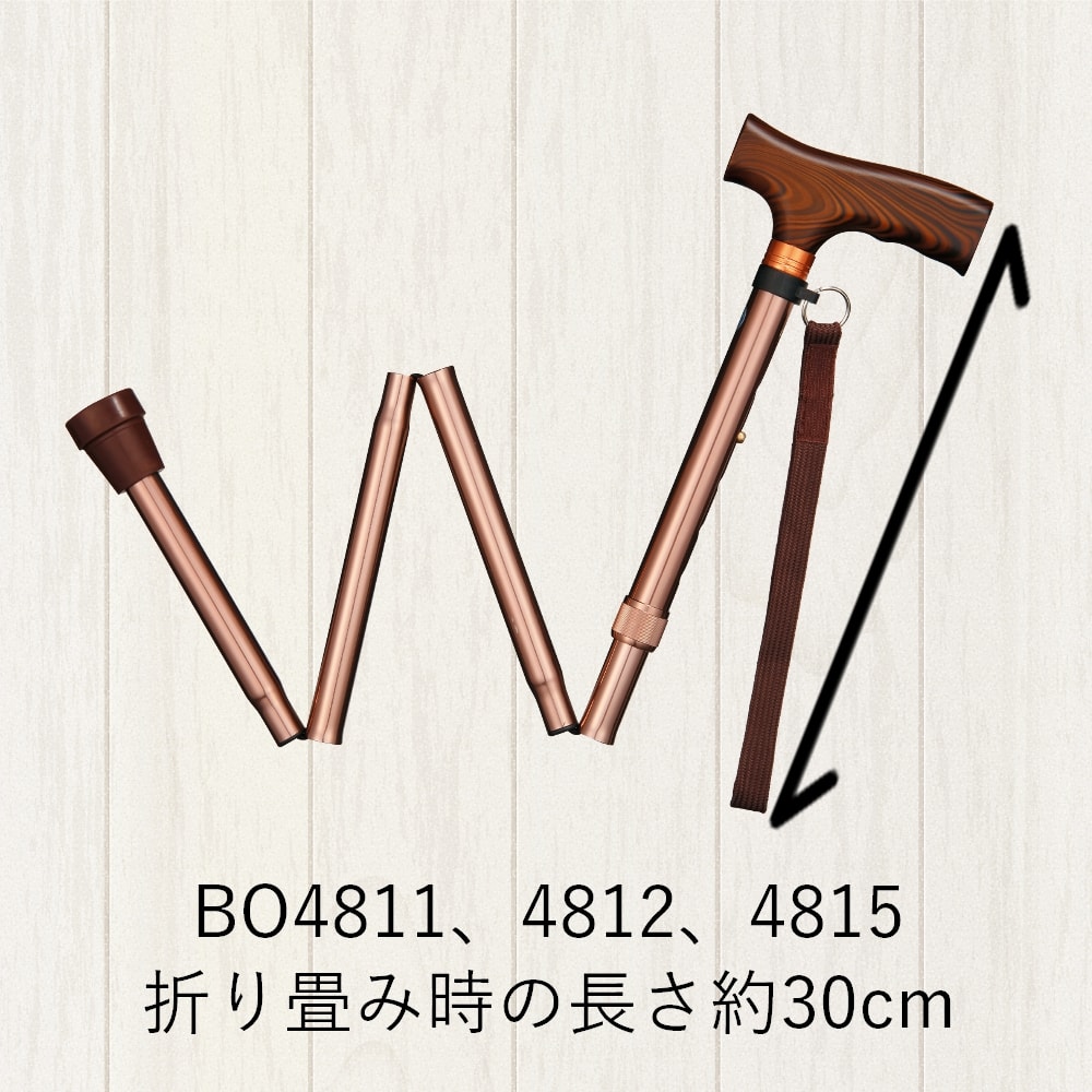 インターリンクス アルミ軽量 折りたたみステッキ ベーシック 22mm 