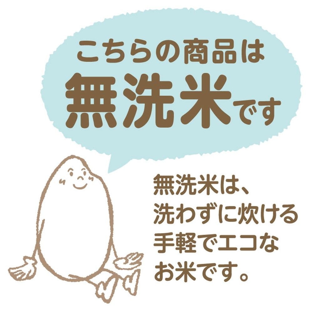 令和7年産】ヤマトライス 北海道産 無洗米ななつぼし 10kg(5kg×2袋