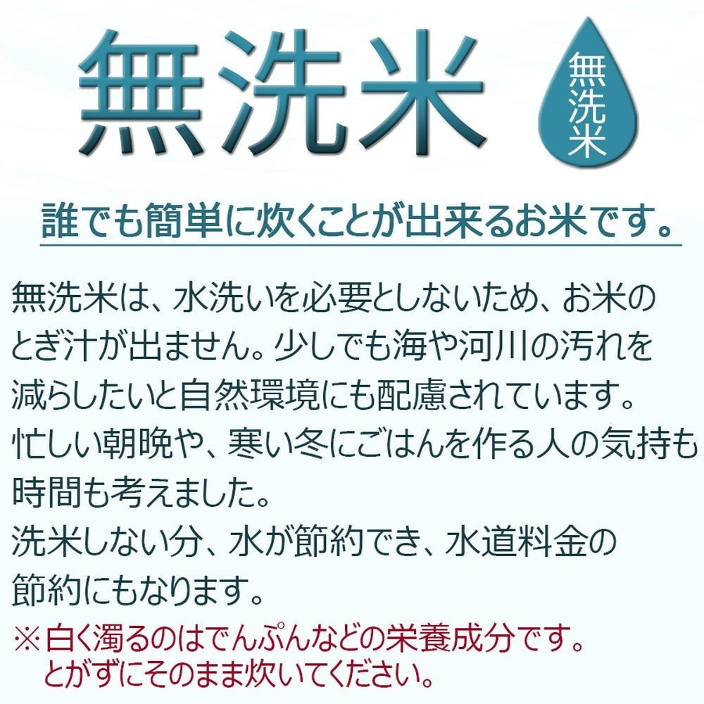 令和7年産】ヤマトライス 北海道産 無洗米ななつぼし 20kg(5kg×4袋