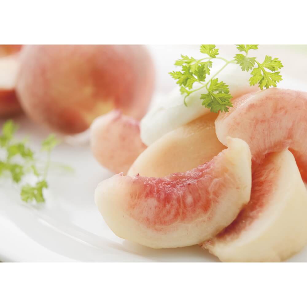 リンベル カタログギフト 47CLUB 森(もり)コース｜うさマートジャパン