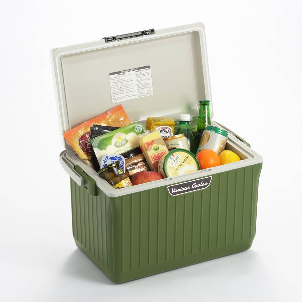 SANKA ベリアスクーラー 17L ホワイト×グリーン VAC-17WH/GR｜うさ