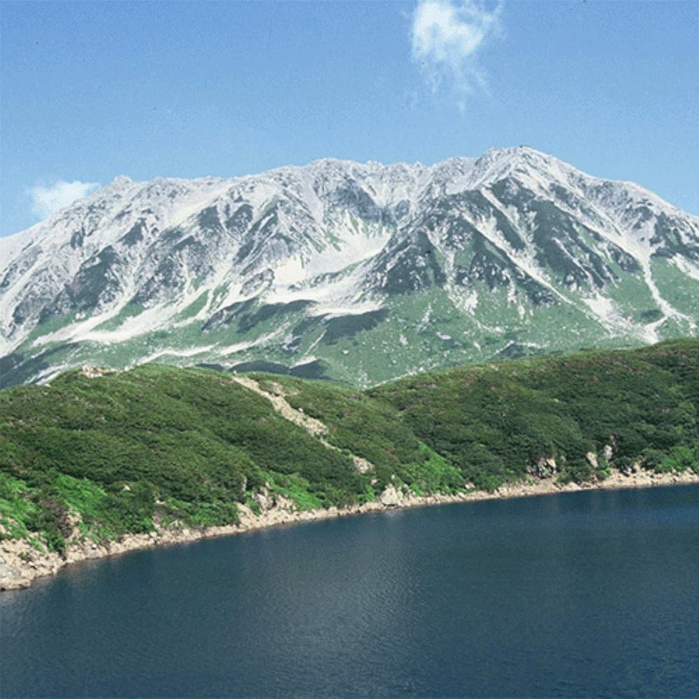 令和7年産】ヤマトライス 富山県産 こしひかり 20kg(5kg×4袋)｜うさ