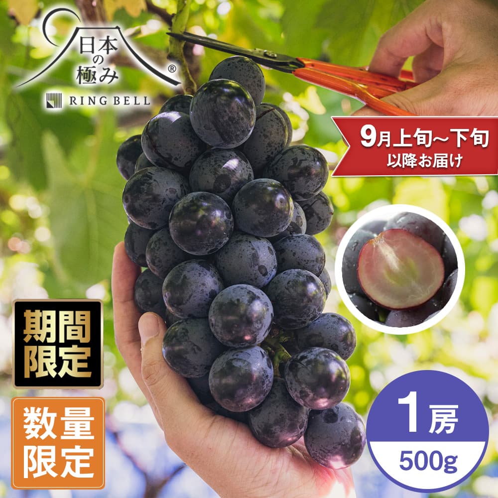 ナガノパープルの通販 価格比較 価格 Com