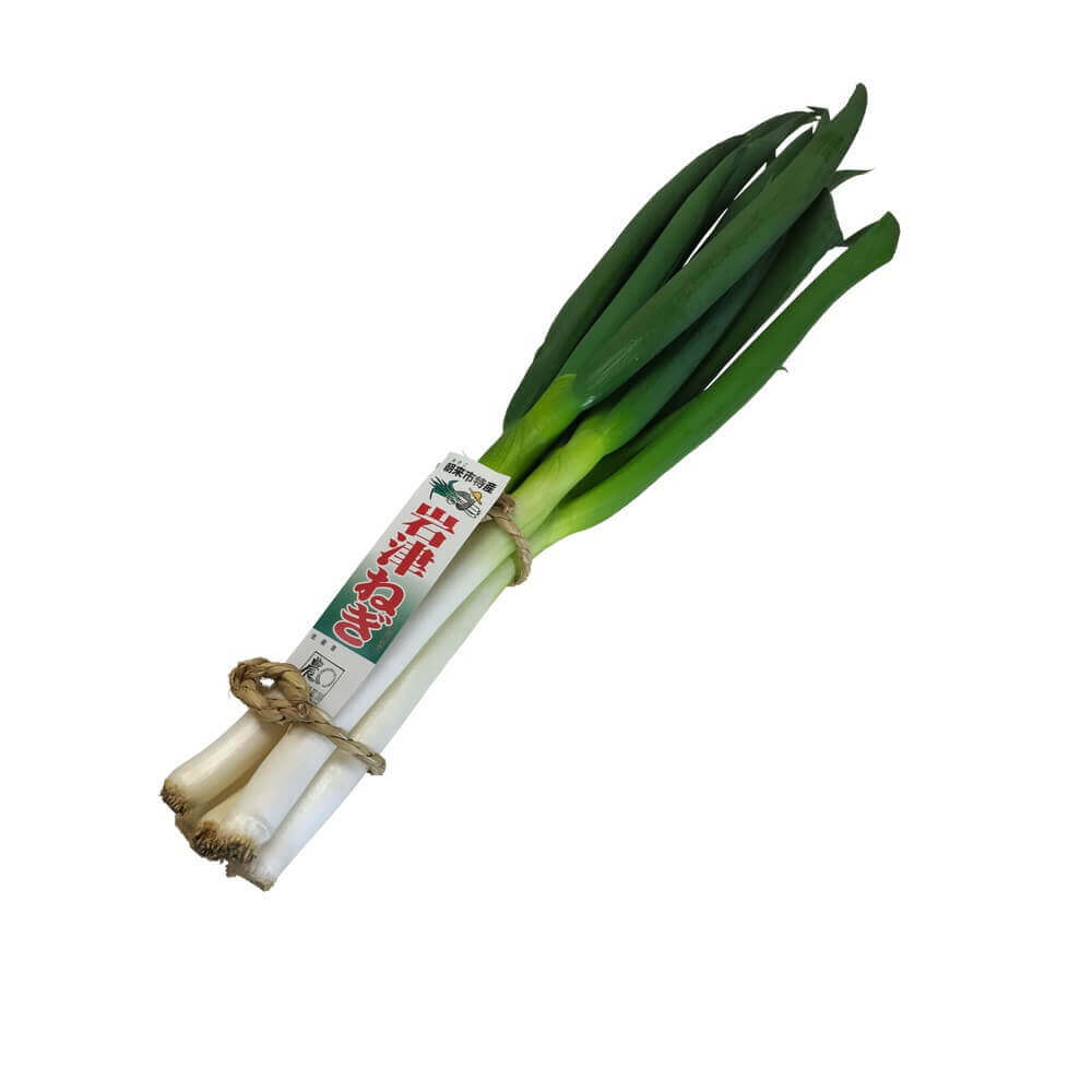 12月1日から出荷開始 期間限定！】岩津ねぎ ご自宅用 3kg 約20～30本