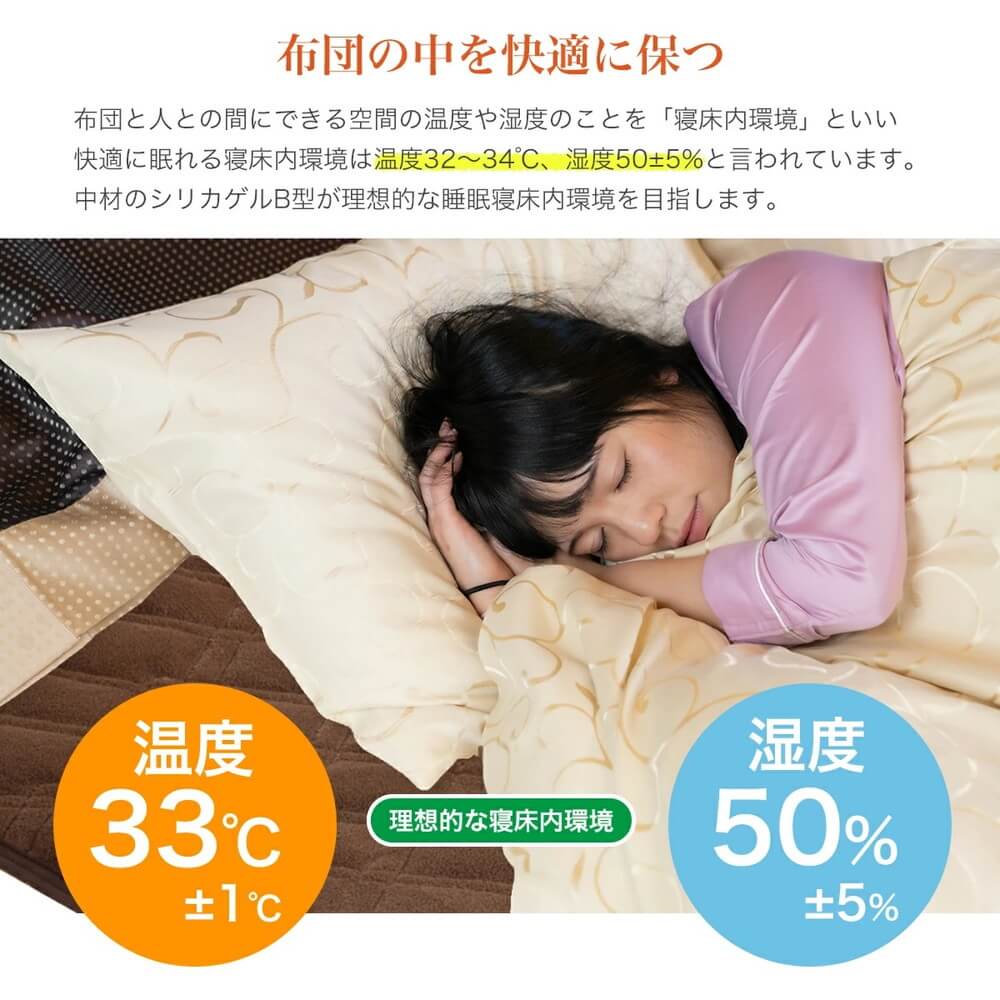 篠原化学 あったかマジカルドライ除湿・消臭枕パッド ブラウン 2枚組