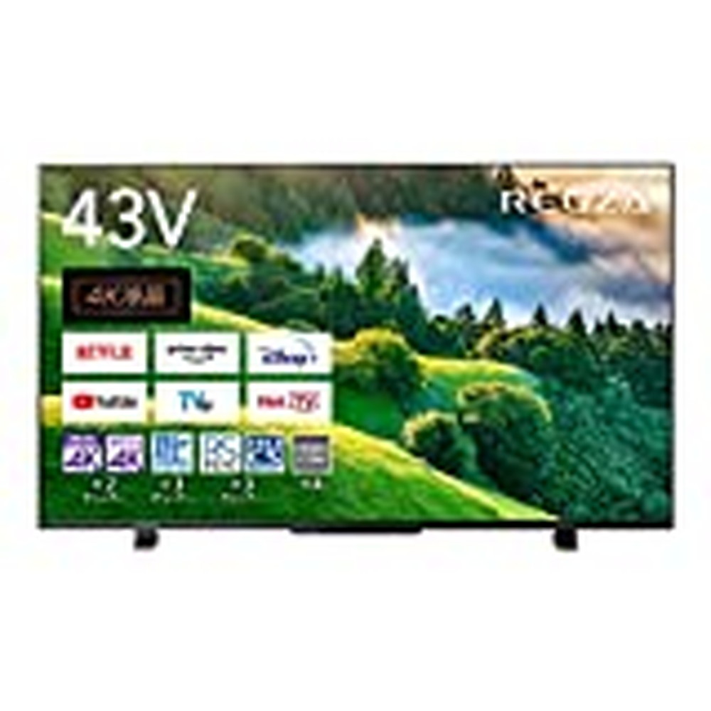 東芝 レグザ 43M530X 43V型 液晶テレビ TOSHIBA REGZA - テレビ