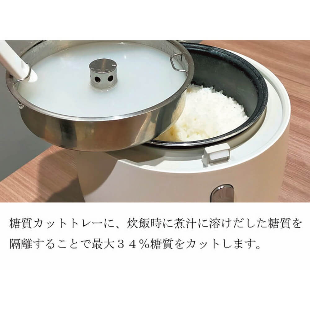 アイネクス スマートライスクッカー 糖質カット炊飯器 ブラック