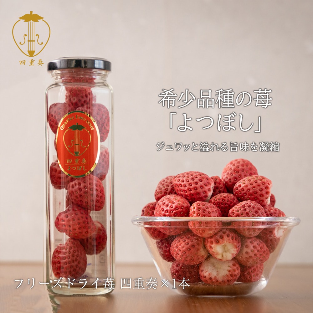 よつぼしいちご100％】フリーズドライ苺 四重奏 1本 プレゼント 丸進