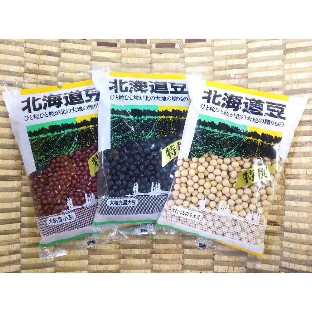 [E哤E̎q哤@e500g