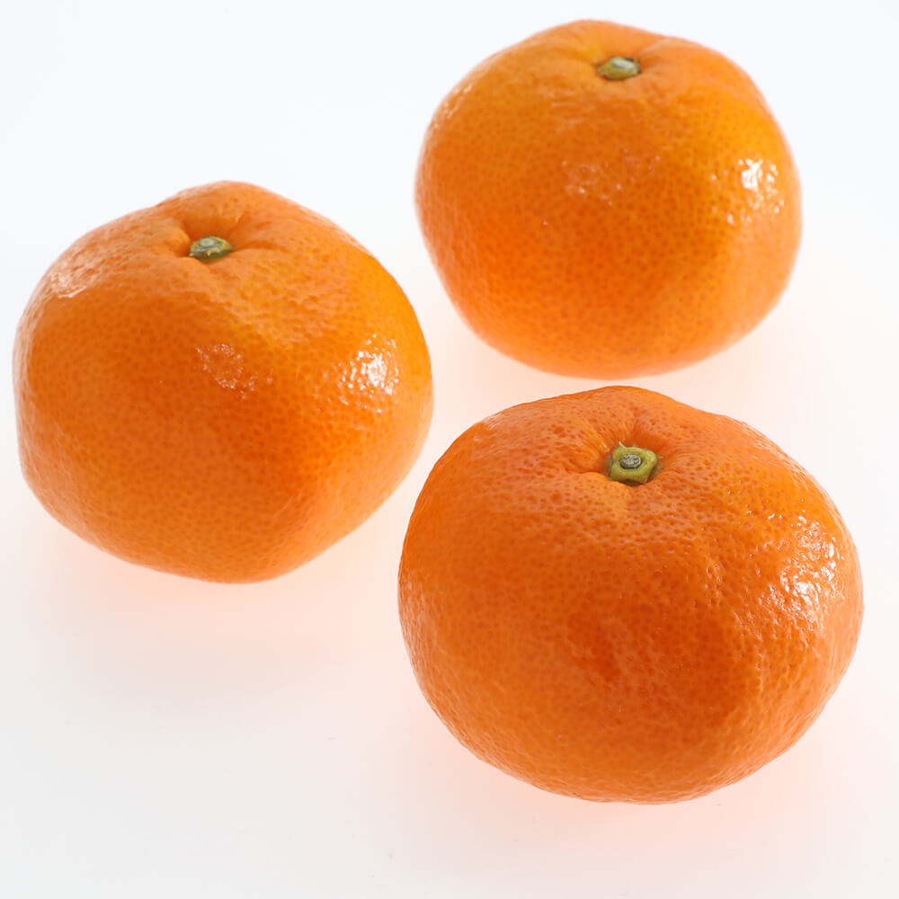 絹肌みかん】蒲郡温室みかん 糖度と酸味のバランス 愛知県蒲郡市産 約