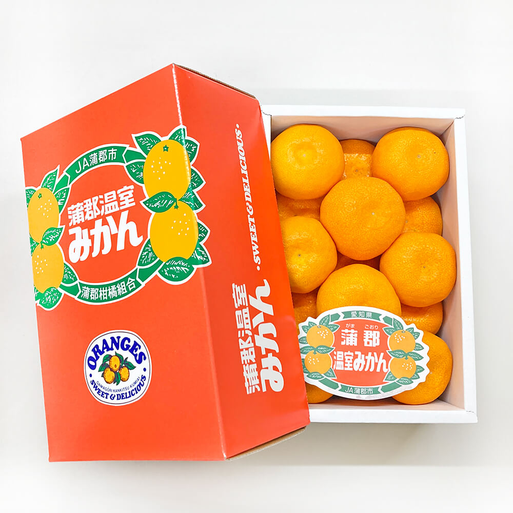 絹肌みかん】蒲郡温室みかん 糖度と酸味のバランス 全国2位 愛知