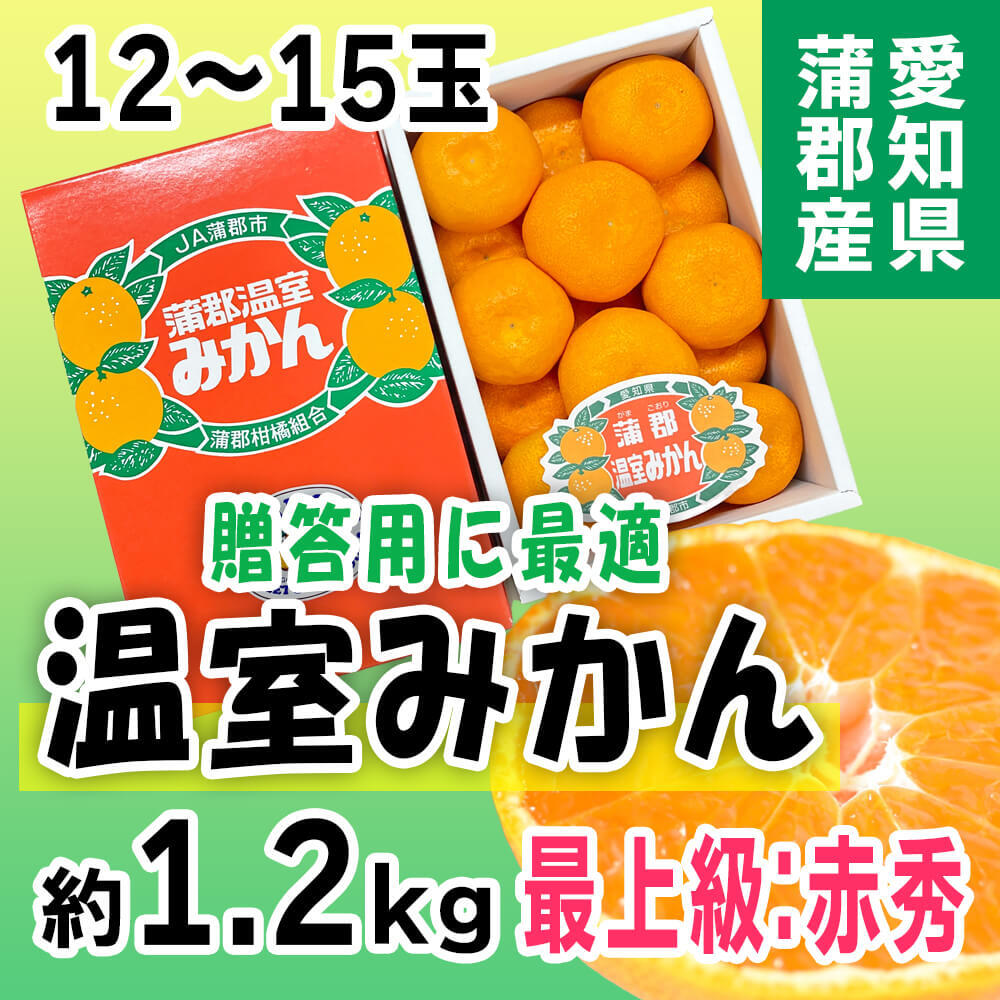 高知産 山北温室ハウスみかん 赤秀5kg 光糖度センサー選果-