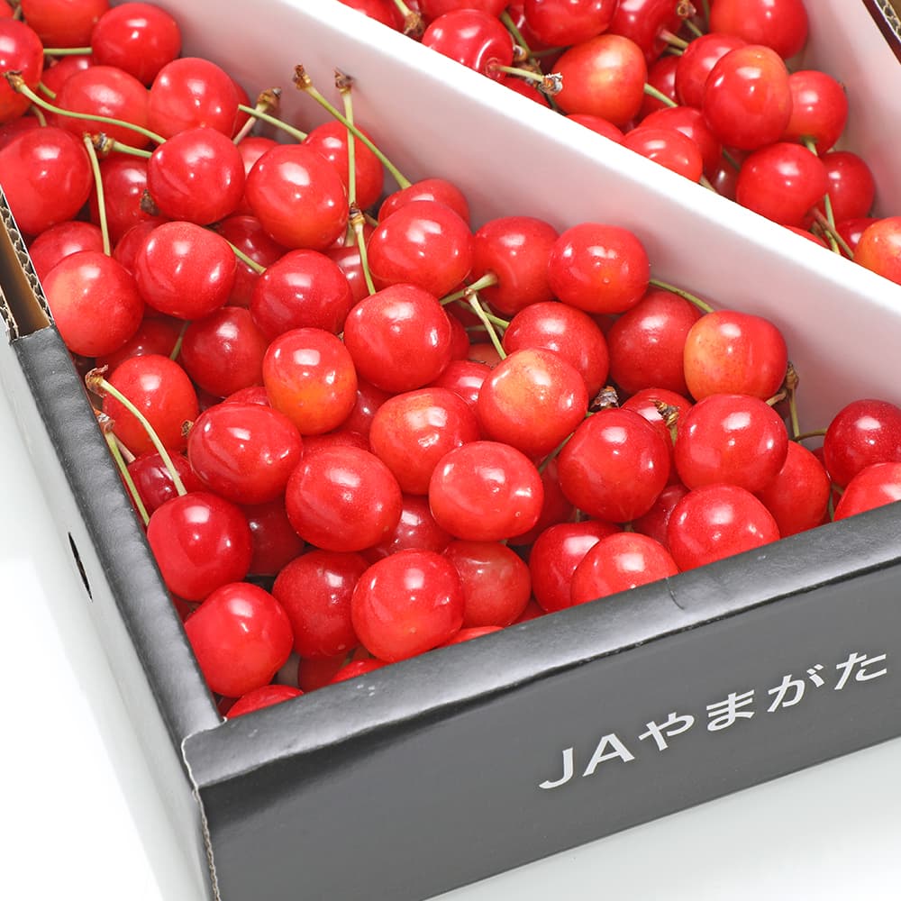 セイミツ工業 PS-14-K-SSP/CSP 差込式30φ蛍光剤入クリアピンク