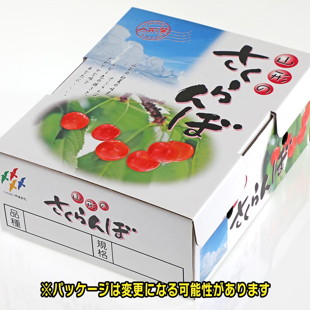 鮮やかな紅色】さくらんぼ 甘味と酸味のバランス 佐藤錦