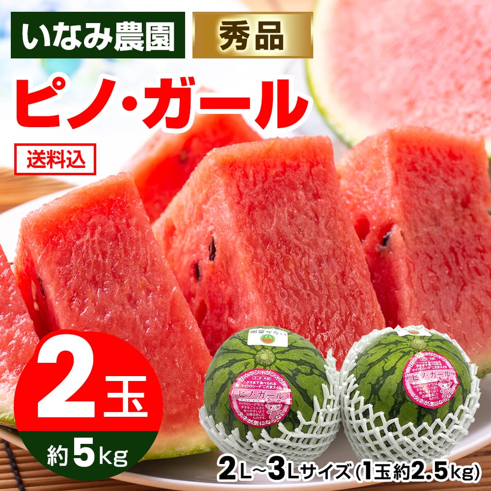 いなみ農園さんのピノガール 2L～3Lサイズ 秀品 2玉 合計約5kg｜うさ