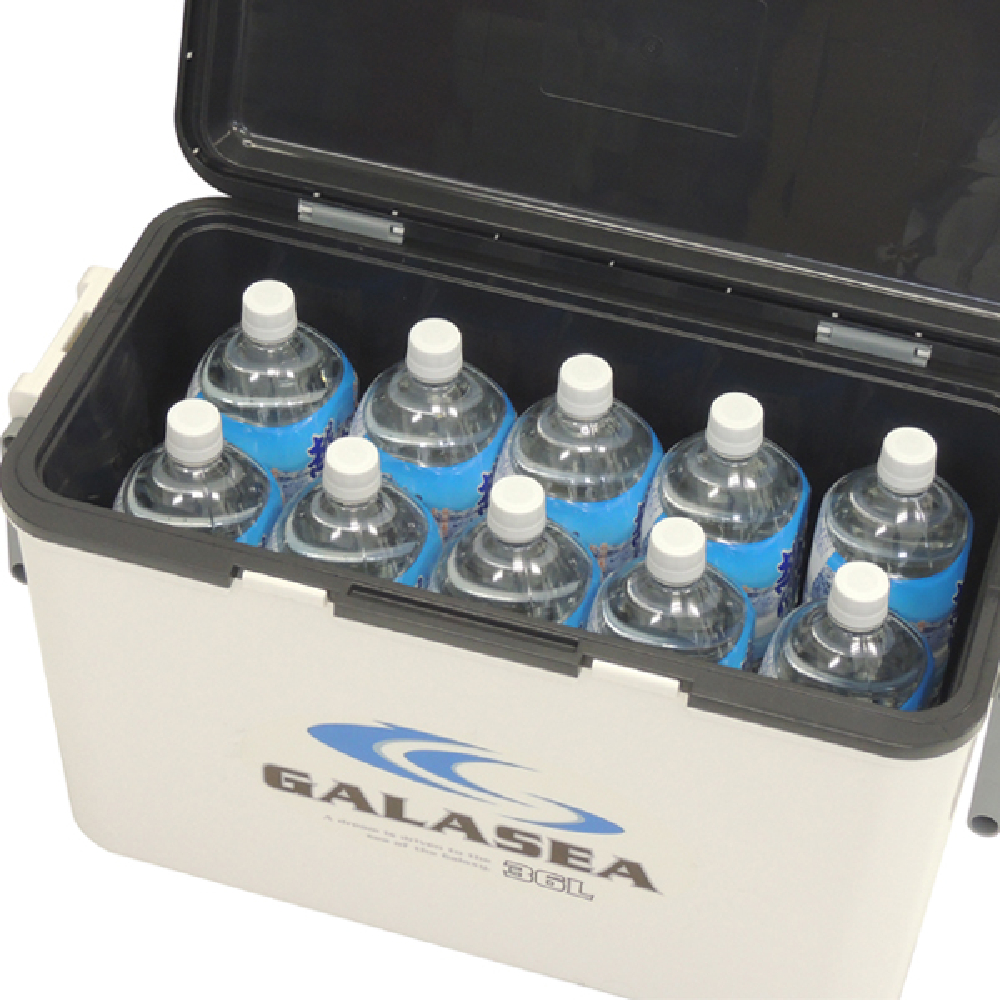 SANKA クーラーボックス ギャラシー 36L SGS-36WH｜うさマート