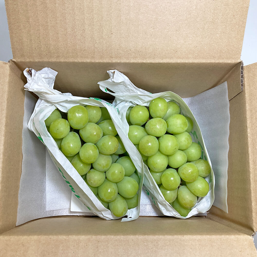 200セット限定・ 9月中旬発送】お値打ち品 シャインマスカット
