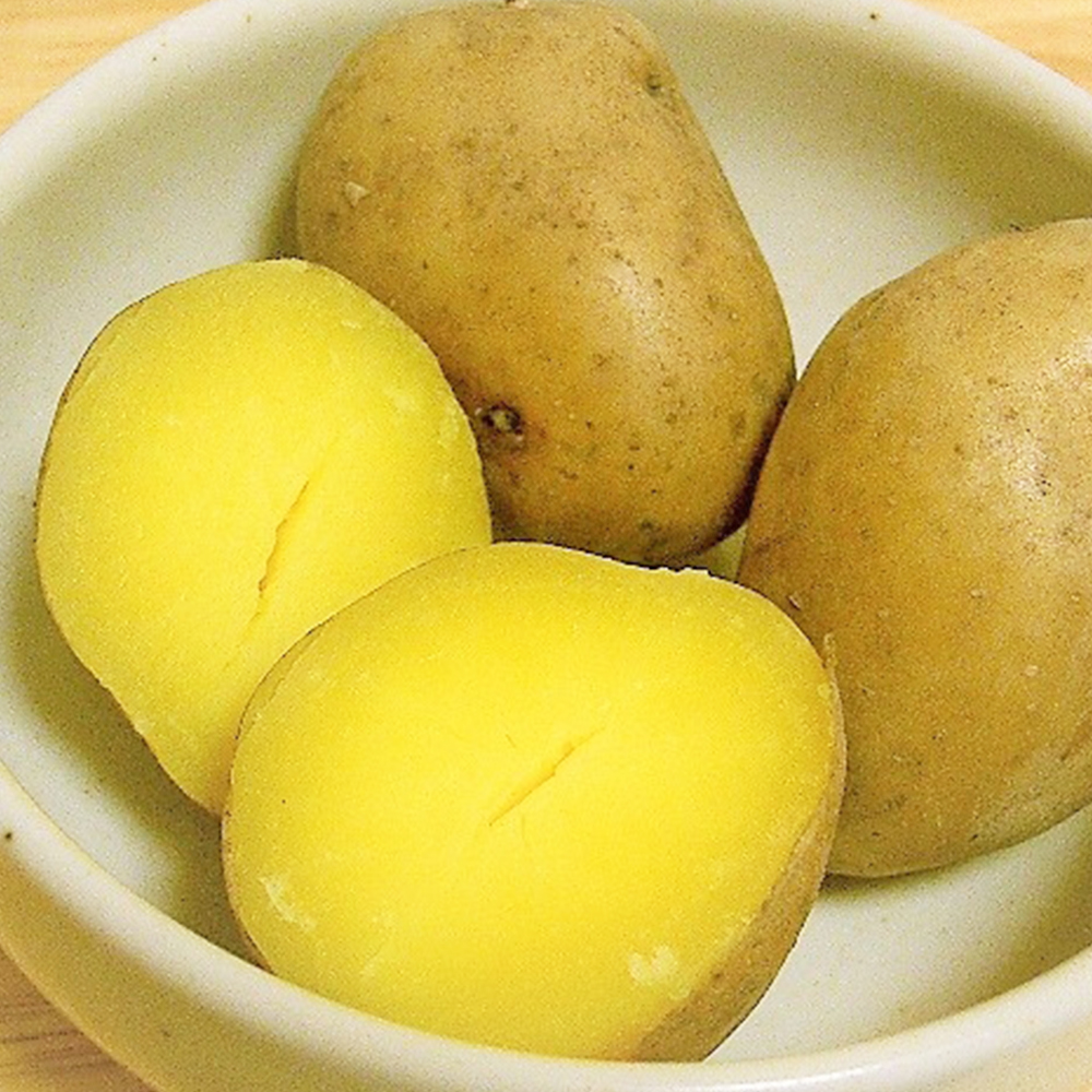10月中旬以降発送】インカのめざめ じゃがいも ホクホク 濃厚